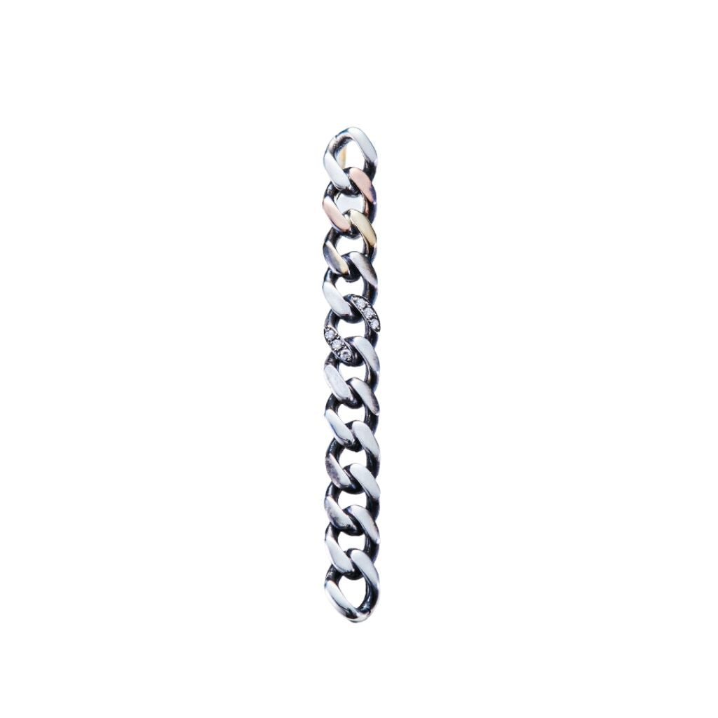 Chain Motif Single Bar Earring