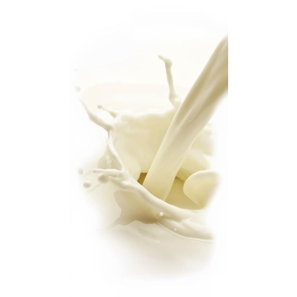 DRHAZI- Perfect Beauty Toning Milkl, buy at DOORS NYC