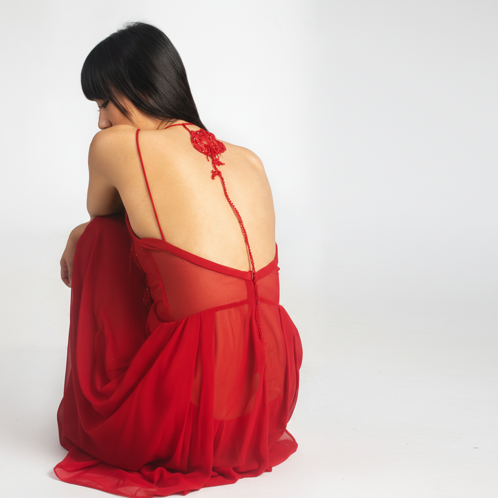 Rose Embroidered Maxi Dress | Red