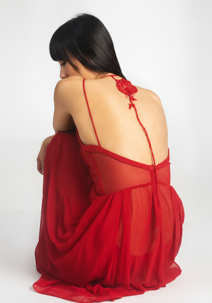 Rose Embroidered Maxi Dress | Red