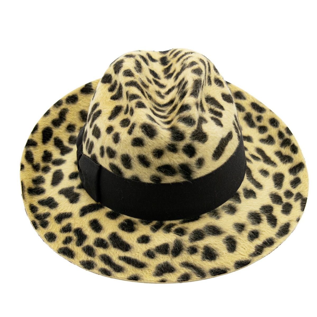 Leopard print hat with a black band on a white background