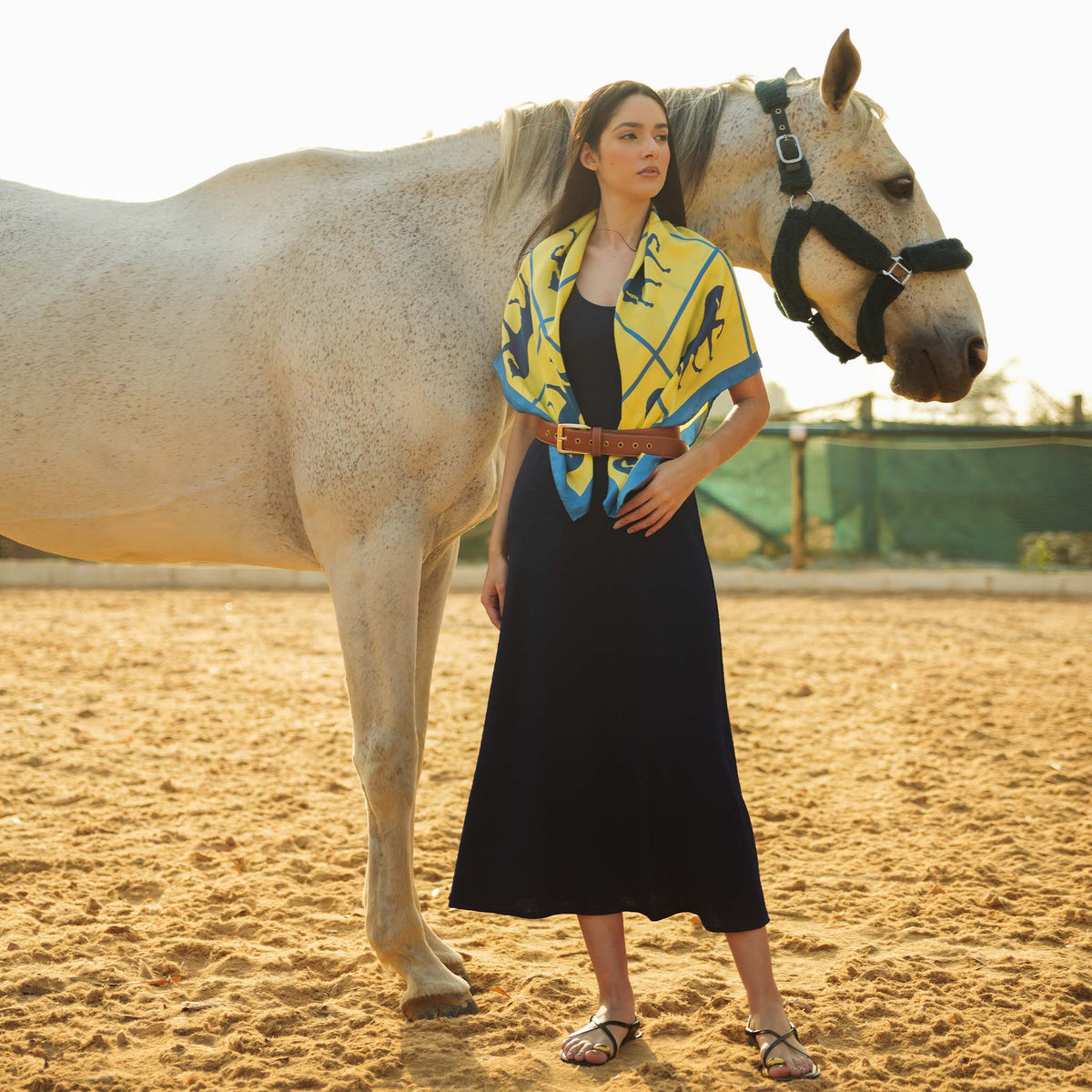 Dressage Rhythm Large Scarf | PR Sample