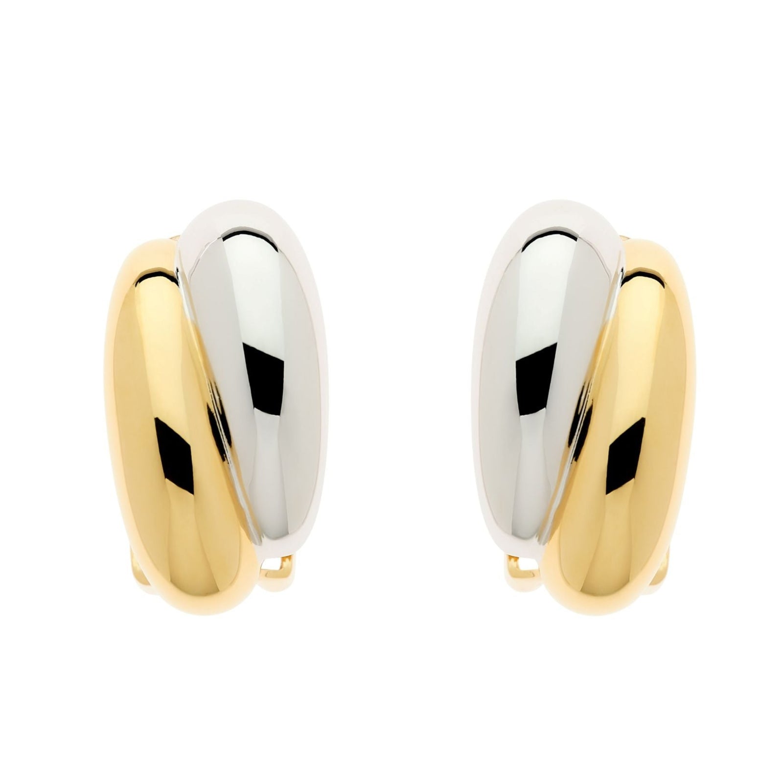 Gold Platinum Earrings