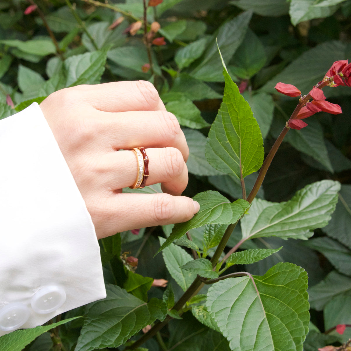 Hand with a gold ring on a leafy background