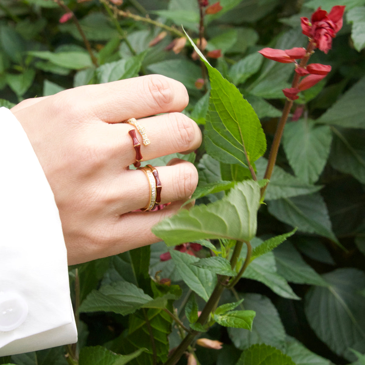 Hand wearing multiple rings with a green leafy background