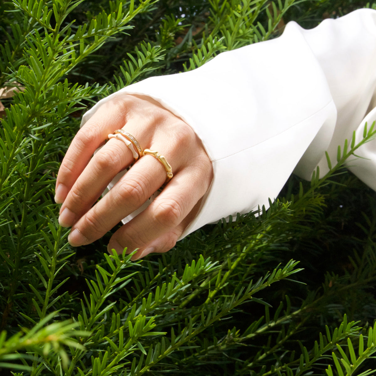 Hand wearing gold rings on a green leafy background