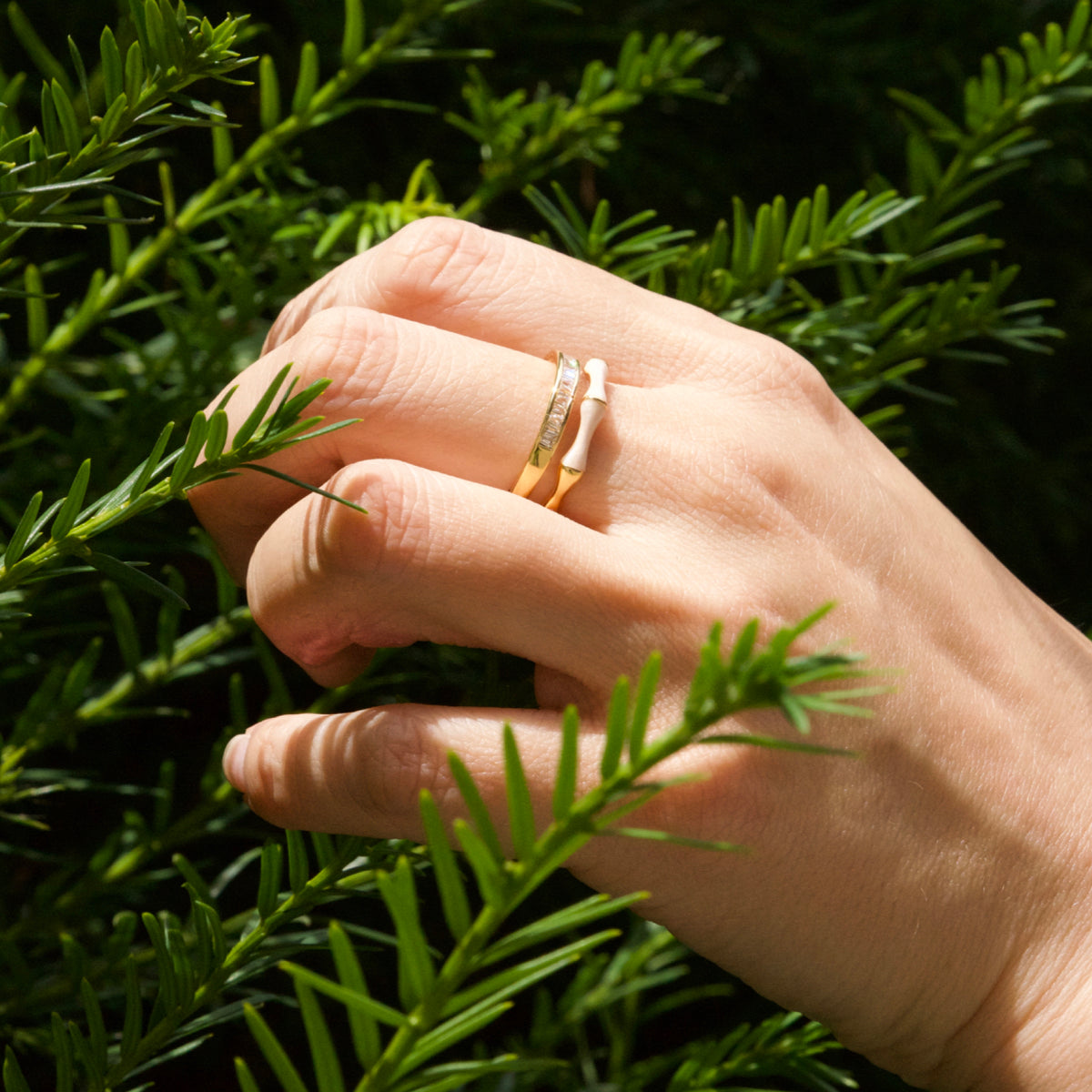 Hand wearing a gold ring with a diamond, holding green leaves against a dark background