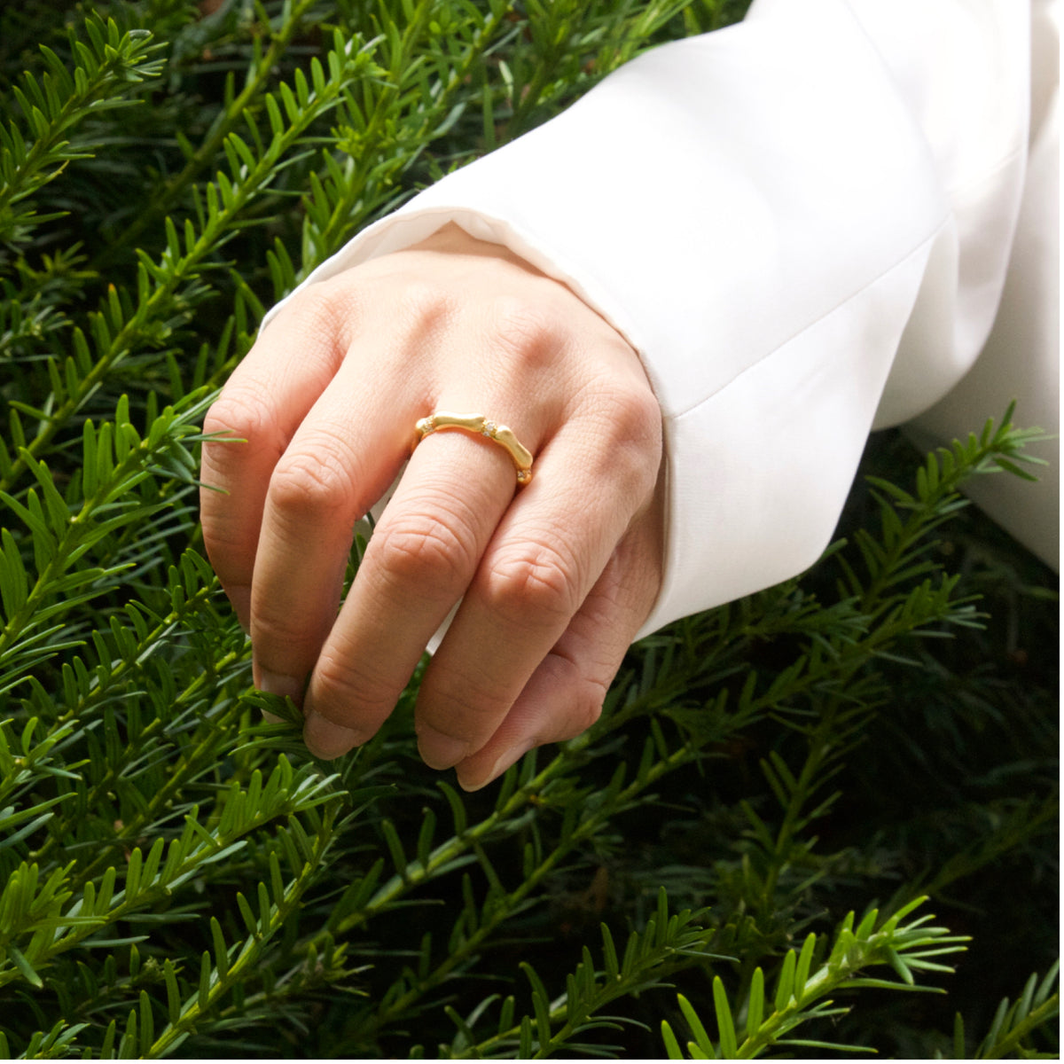 Hand wearing a gold ring on green foliage