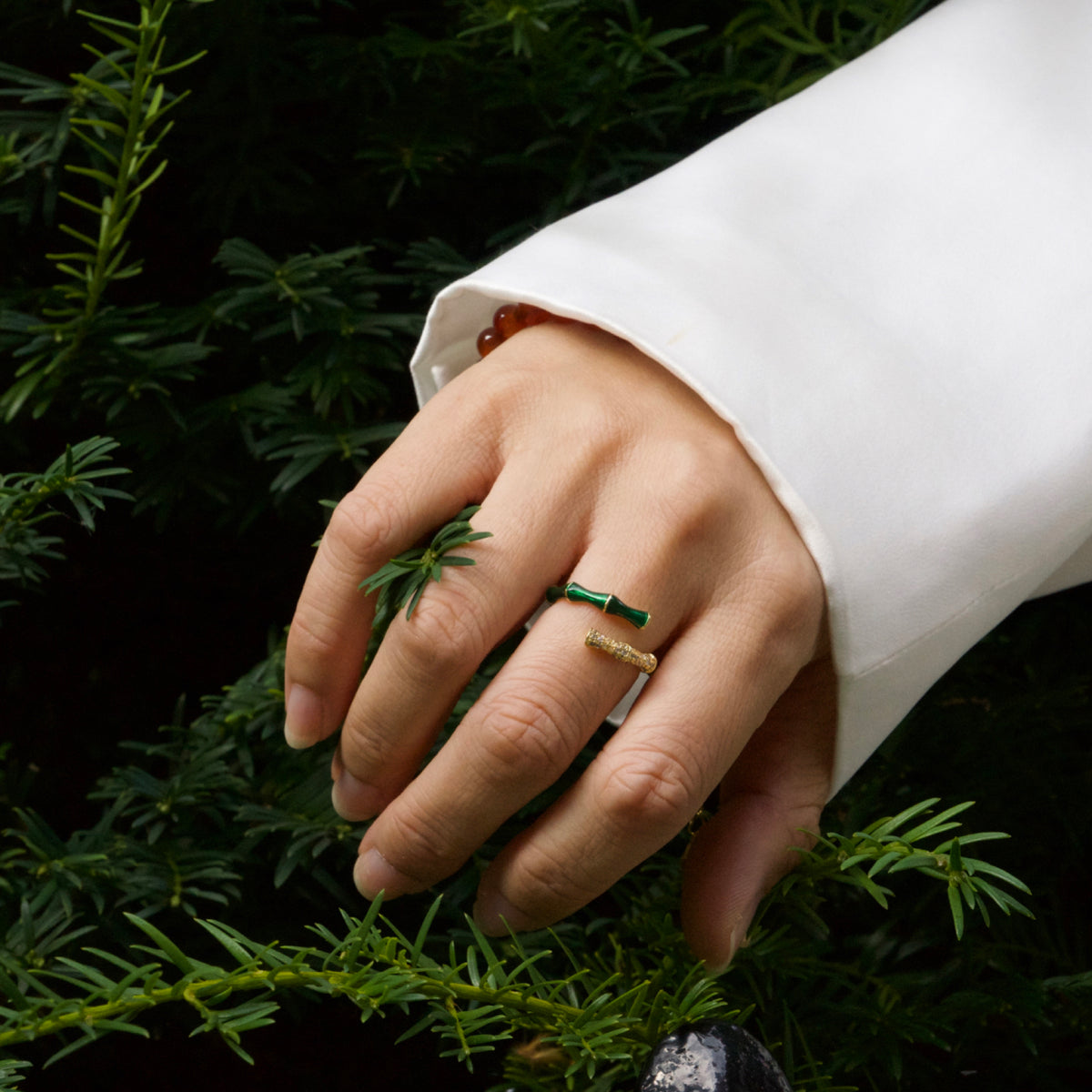 Hand with rings on a background of green foliage