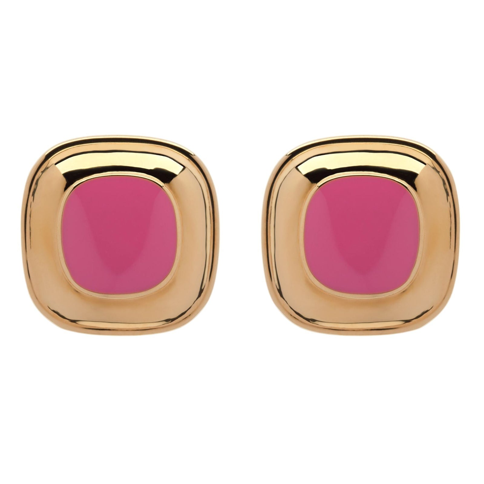 Rose Enamel Earrings