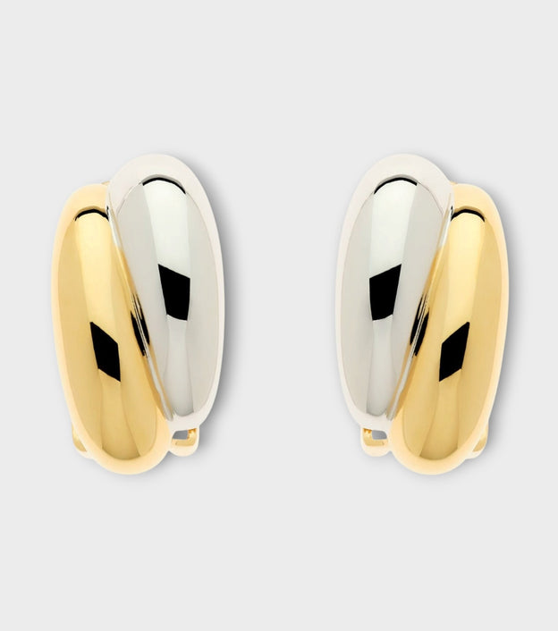 Gold Platinum Earrings