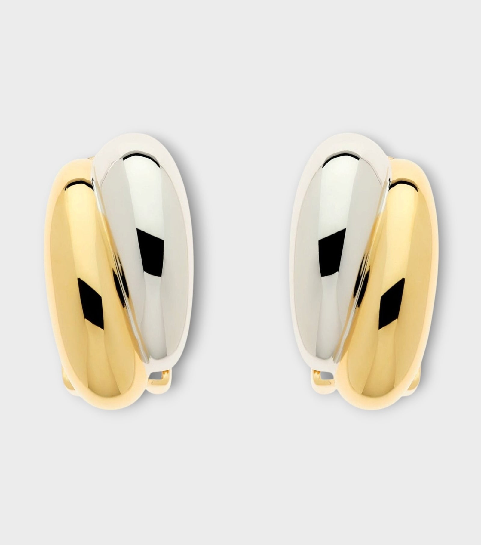 Gold Platinum Earrings