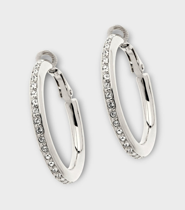 Platinum Crystal Earrings