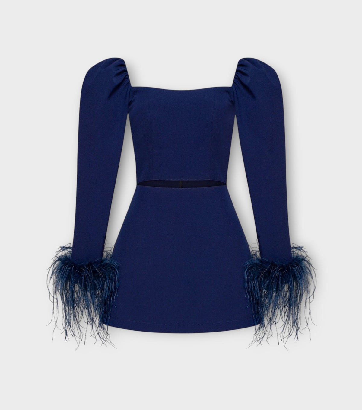 Long Sleeve Mini-Dress With Feathers