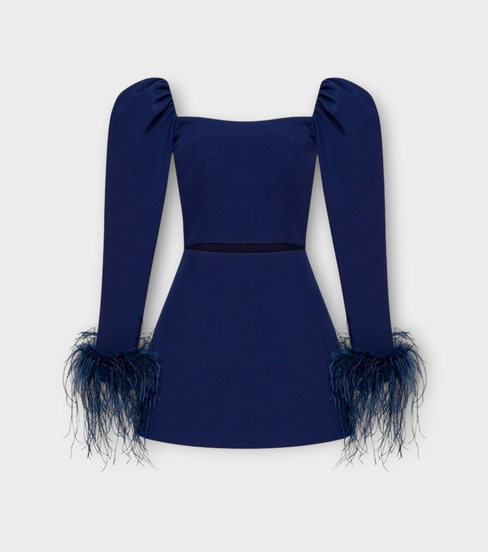 Long Sleeve Mini-Dress With Feathers