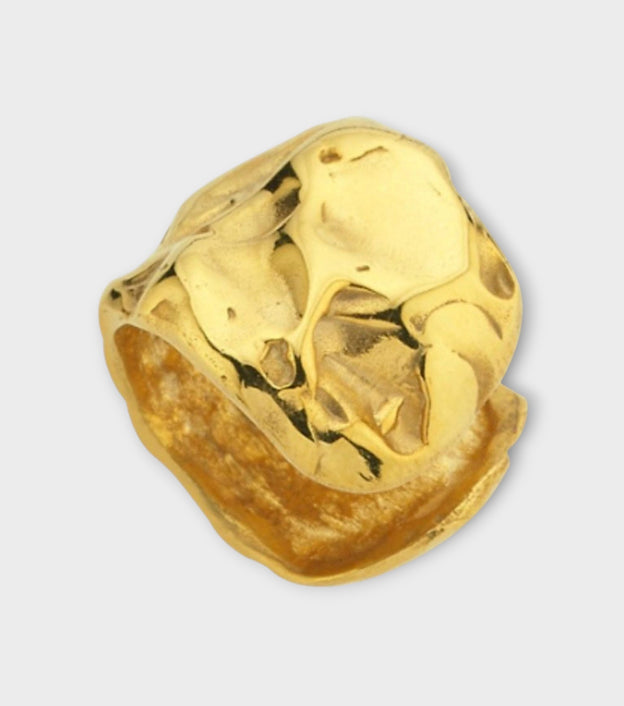 Amorphous Cartilage Earrings | Gold