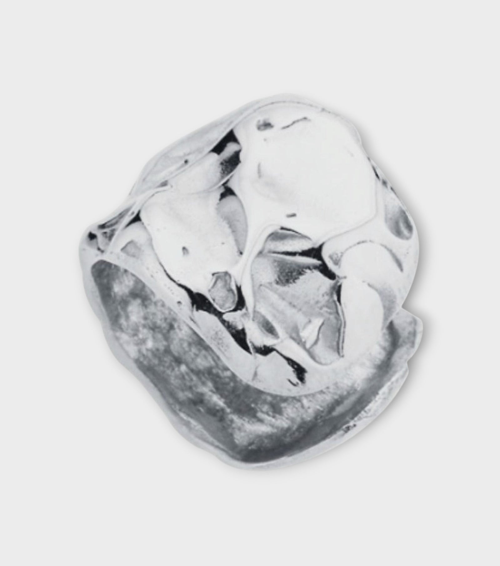 Amorphous Cartilage Earrings | Silver
