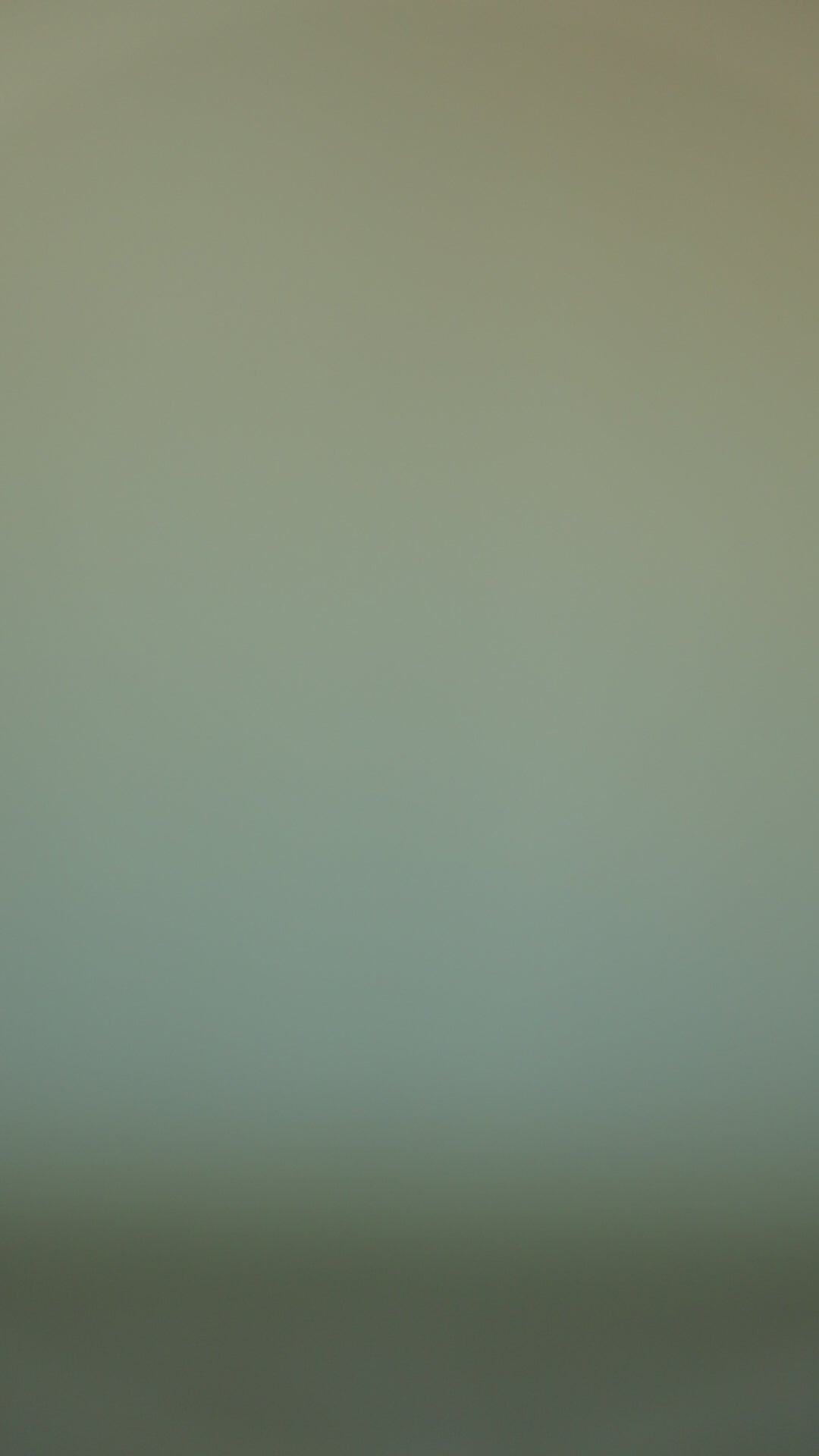 DAR ANN STUDIO - SHELLFISH Top | Gray  , buy at DOORS NYC