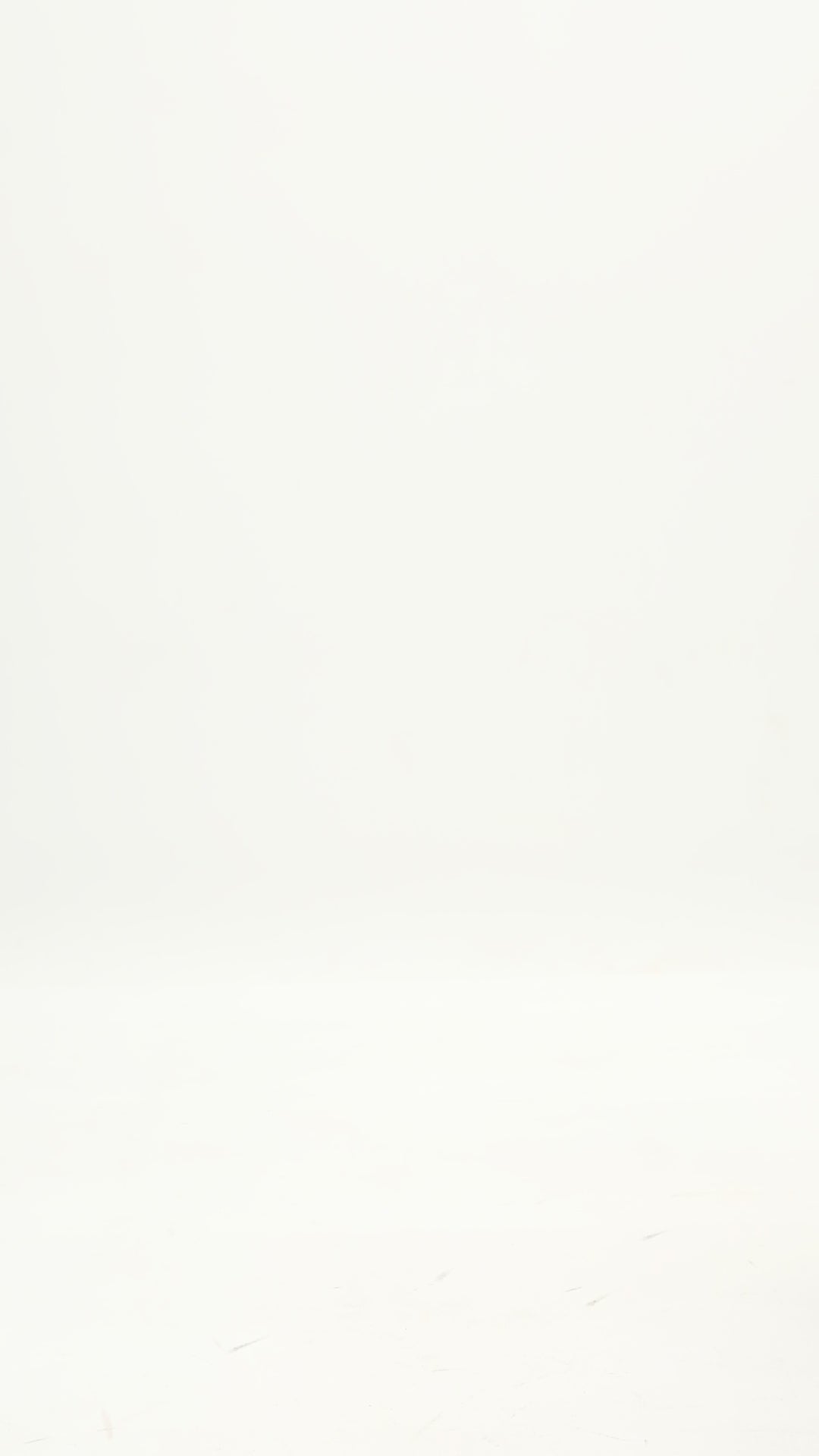 DAR ANN STUDIO - DUNE Shirt |  White, buy at DOORS NYC