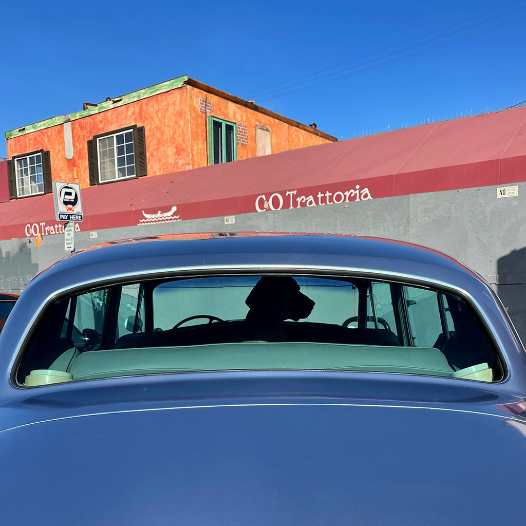 Driving Miss Daisy | Photography