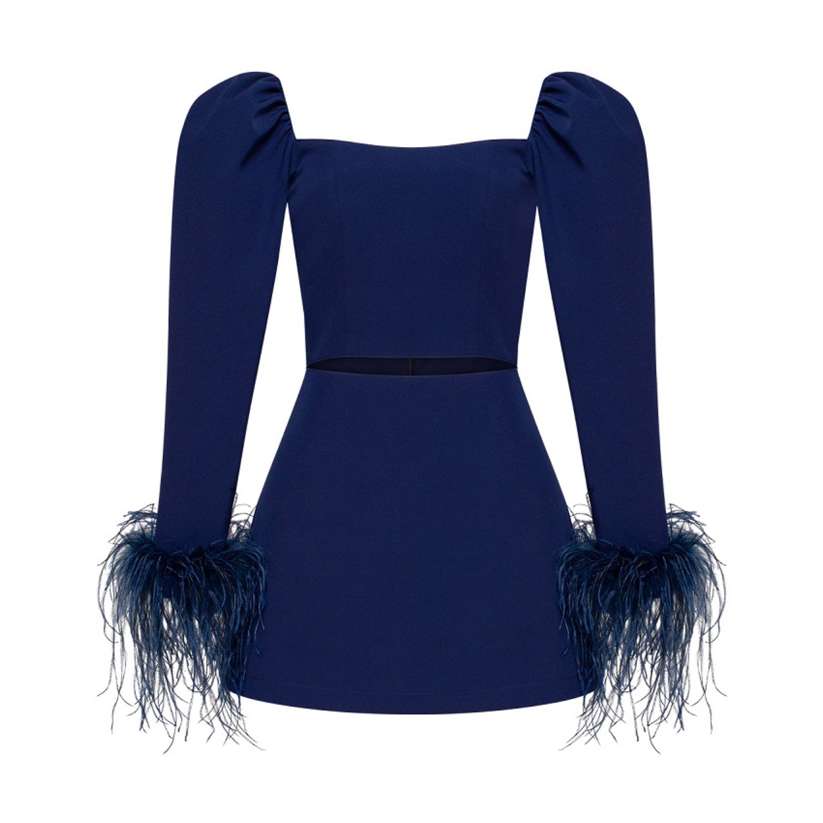 Mini-Dress With Feathers