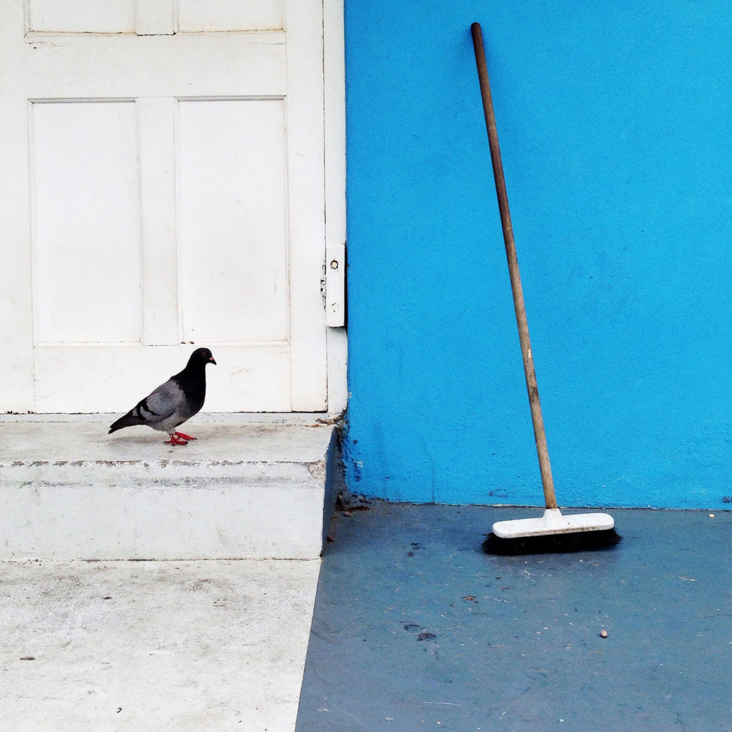 Yin Yang | Photography